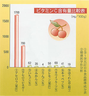 ビタミンC含有量比較表（mg/100g）